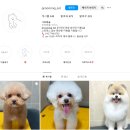 그루밍솔 이미지