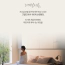 와이디바이오 | 내돈내산 탄소매트 (그래핀) 추천 | 원적외선 | 2년 사용 후기