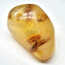 코팔(COPAL)