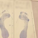 제이지피 이미지