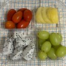 과일맛집 메가후르츠 양주점 과일도시락 포장 후기