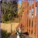 행복펜션민박 이미지