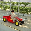 여주-0480 이미지