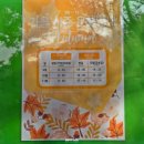 팔공산로 | 대구 팔공산 단풍 케이블카 실시간 방문 후기