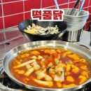 불품은 돼지 | 대전 시청역 맛집, 둔산동 떡품닭 닭볶음탕 대존맛 (Ft.점심)