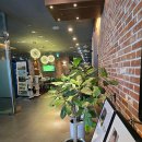 이루다골프 이미지