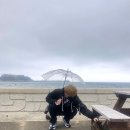트래블스토리 네이버블로그