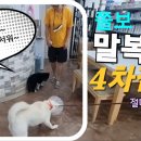 에이스 펜션 이미지