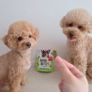 (주)포켄스 | 포켄스 덴티페어리 덴탈껌 종류별로 내돈내산