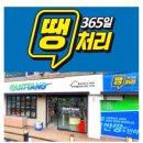 반땅 이미지