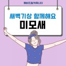 새미모