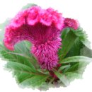 도천어린이집 이미지