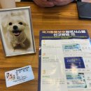 31140-14-37-47 | 청주 반려동물 장례식장 < 러블리엔젤 > 후기