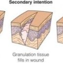 한가람동물의료센터 이미지