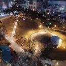 2.28기념 중앙공원 이미지