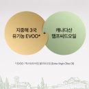 369 | 트루엔 올리브 햄프 369 후기 | 먹기 편한 지중해 올리브오일 캡슐 추천 및 아침 공복 올리브오일...