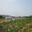 음암초등학교 이미지