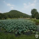 구암동232 이미지