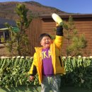 에코새싹유치원 이미지