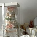 임산부 출산선물 추천 <b>앙앙</b> <b>기저귀</b><b>케익</b>