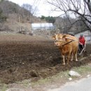 가평한옥마을 이미지