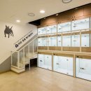 라온 동물 메디컬센터 이미지