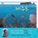 [우리나라] 너, 제주도에 있니? (우리나라 문화 탐험 그림책 01) ∣ 글_허수경 ∣ 그림_김재홍 이미지