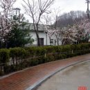 성심조경 이미지