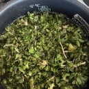 나여사 김밥 | 냉이 김밥 만들기 실패부터 성공까지..(feat. 광어소금김밥st)