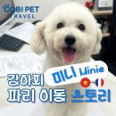 코비트래블 - 중구 남대문로10길 9 | 코비트래블