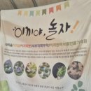 지리산오도재관광농원 | 한국기행 지리산 오도재 이끼식물카페