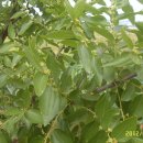 성환농장 이미지