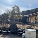 나무달쉼터 이미지