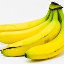 다이어트요가-C 이미지