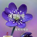 2023 년 8월 21일 🌸 한주의 시작을 이런 다짐으로 시작해보세요!🌸 이미지