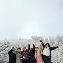 11650-16-173-4 | 제주도 쏠라티 투어 후기 15인승 16인승으로 즐긴 제주 겨울여행