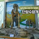 신구가축 | 단양 선사시대 박물관 수양개 선사유물전시관