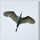 한국관유스호스텔 이미지