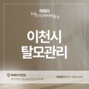 하헤리 이천점 네이버블로그