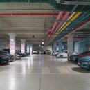 그루밍 버블리 이미지