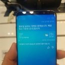 애플25시 프라임경제