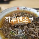 하루산책 | 양수리 두물머리 산책 후 하루엔소쿠 냉모밀 돈가스 후기