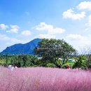 10 | 제주 가볼만한곳 베스트10 후기