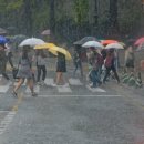 우산속으로 이미지