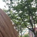 바른다염색18000