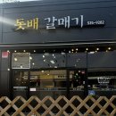돗배갈매기 이미지