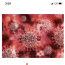 효성중학교 이미지