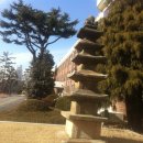 이리여자고등학교 이미지