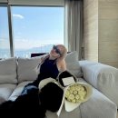 APT 블랙핑크 로제 집 100억 초호화 용산 아파트 동네 위치 어디 인테리어 피피스트렐로 조명