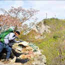 엄사초등학교 이미지